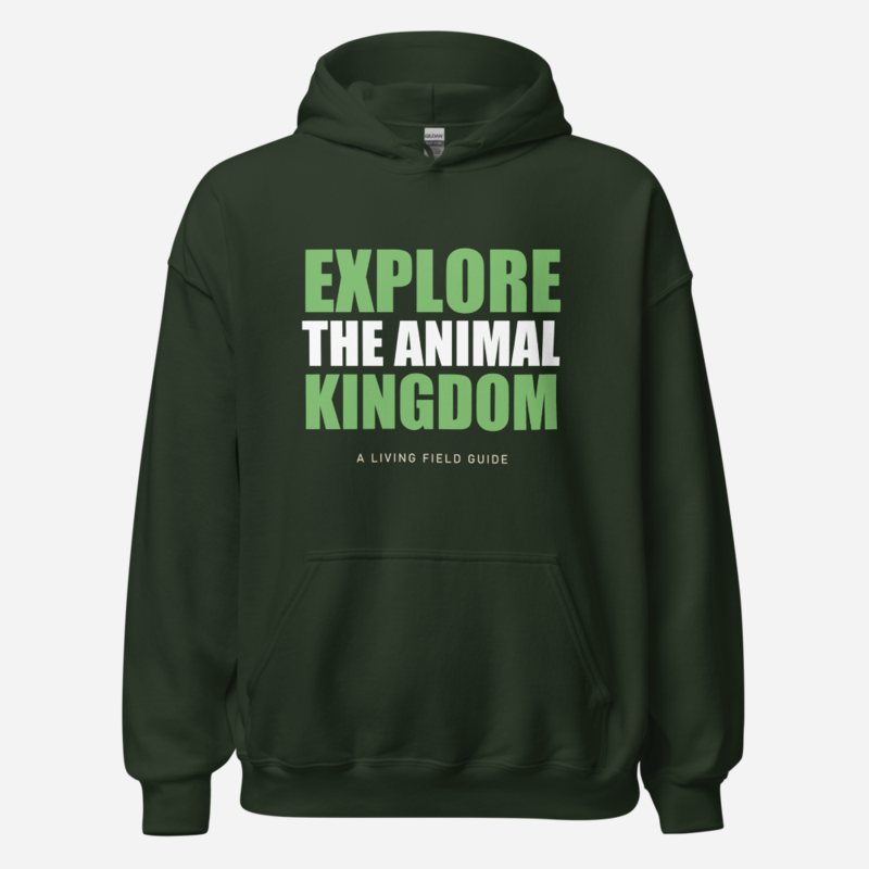 Animal Viewology Explore Hoodie